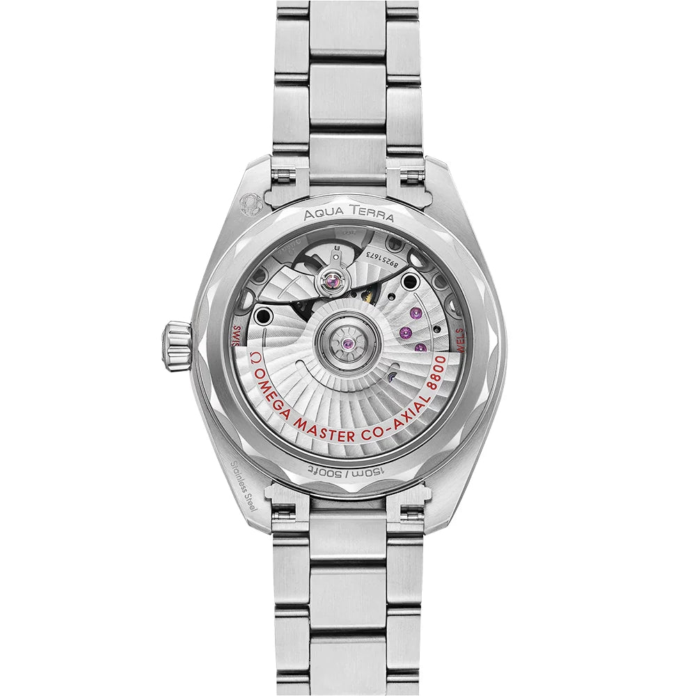 Seamaster Aqua Terra 34mm Waved Silver Dial Ladies Watch