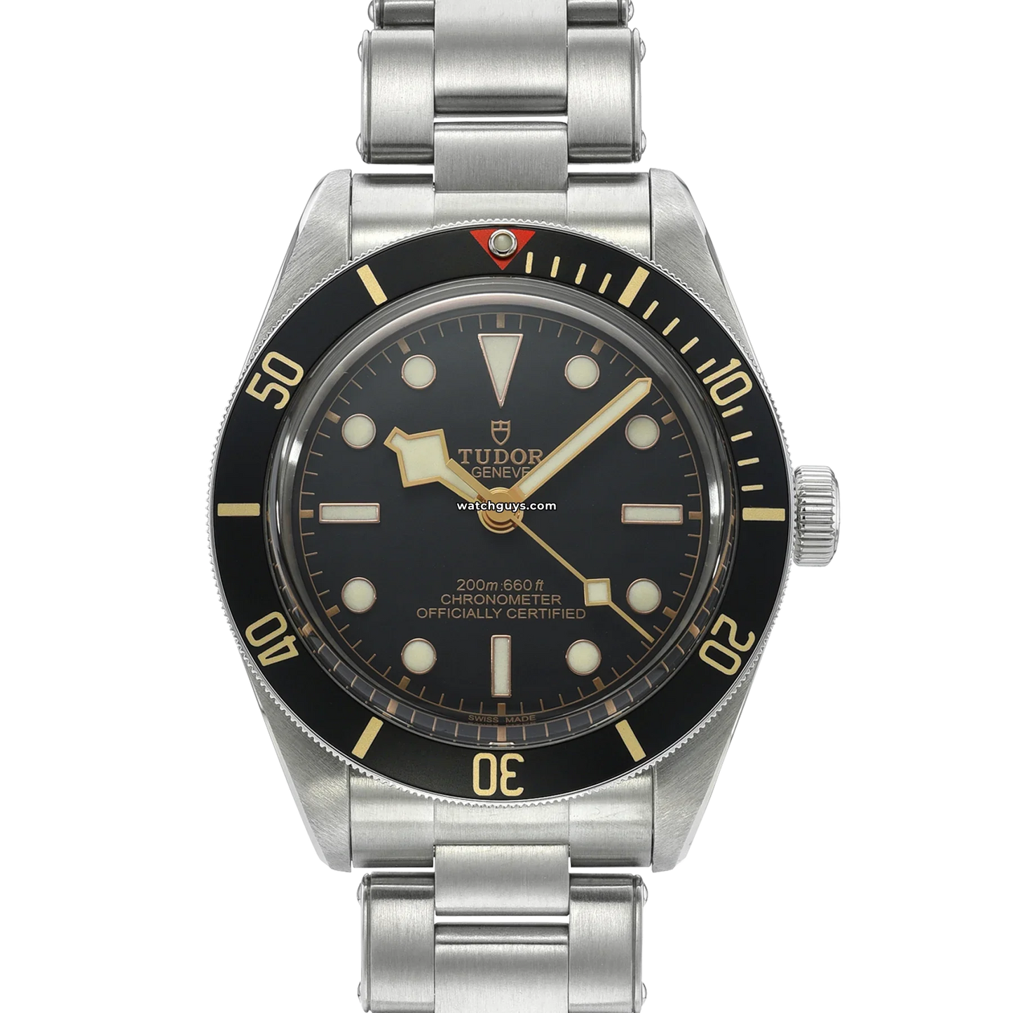 Tudor Black Bay 58 79030N