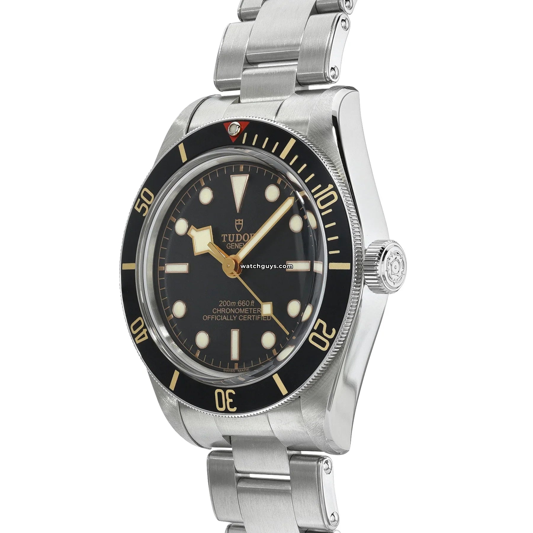 Tudor Black Bay 58 79030N