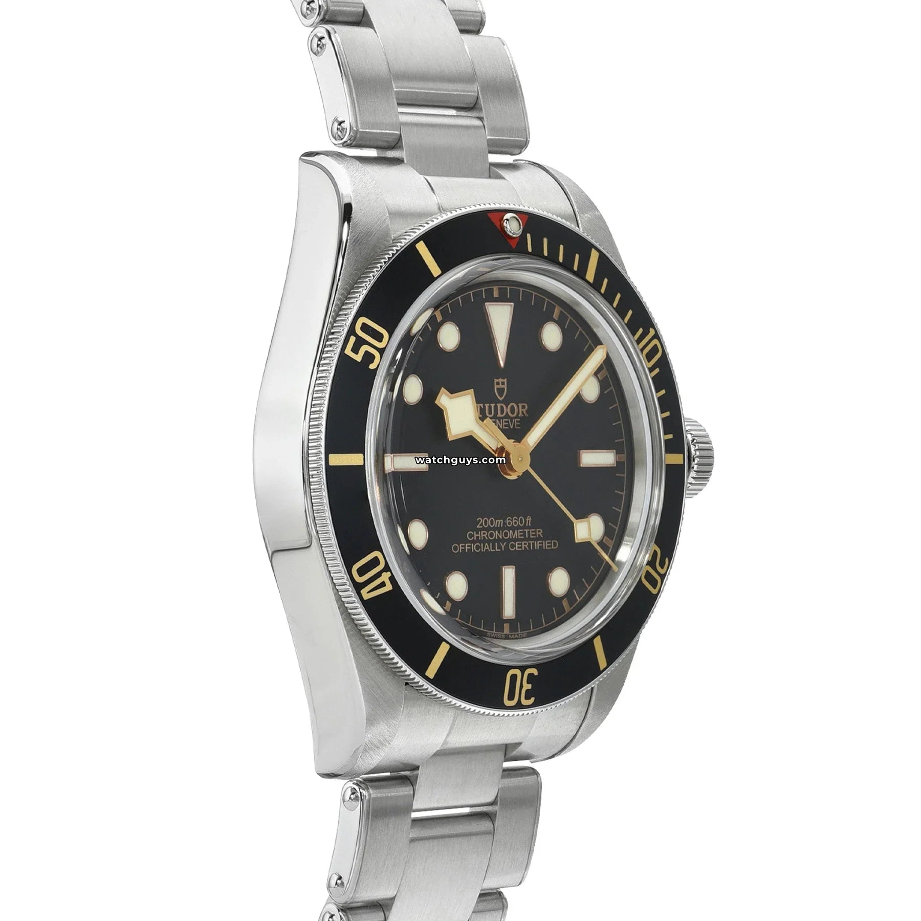 Tudor Black Bay 58 79030N