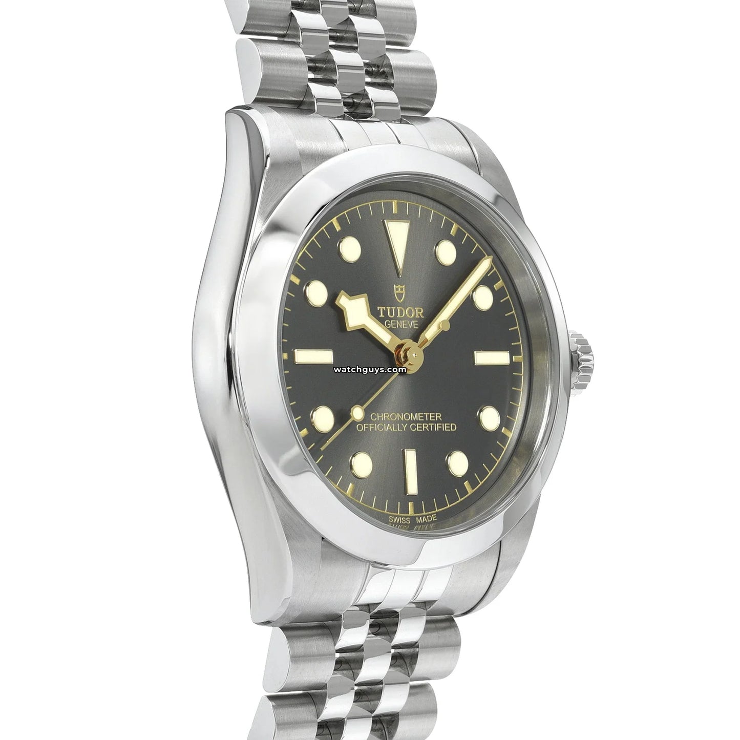 Tudor Black Bay 79660